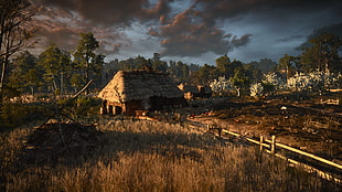 brown house on open field digital wallpaper, landscape, screen shot, The Witcher 3: Wild Hunt, video games