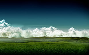 green field during daytime HD wallpaper