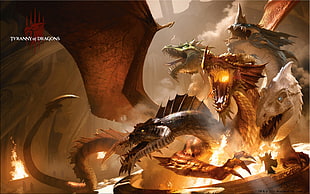illustration of dragons