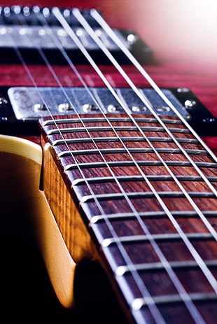 micro photography of electric guitar's strings, allen