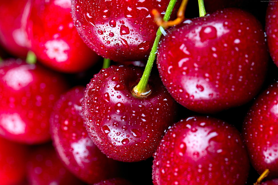 close view of cherries with droplets HD wallpaper