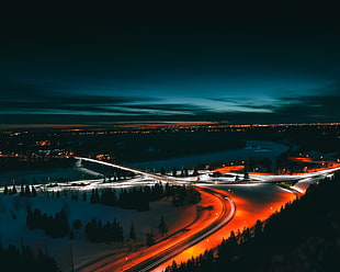 silhouette of trees, Edmonton, Canada, Night city