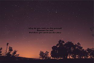 silhouette of trees with text overlay, stars, quote, orange, sunset