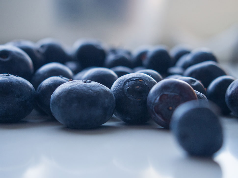 blueberries HD wallpaper