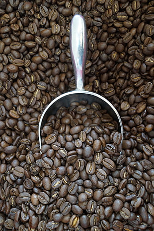 stainless steel scoop on coffee beans