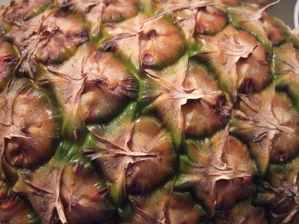 Pineapple fruit HD wallpaper