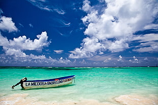 white and blue canoe on seashore during daytime, punta cana, dominican republic HD wallpaper