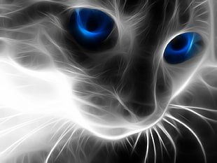 white Cat with blue eyes painting