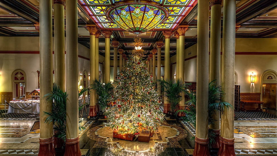 green and beige Christmas tree near concrete posts HD wallpaper