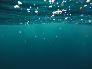 body of water, nature, sea, underwater