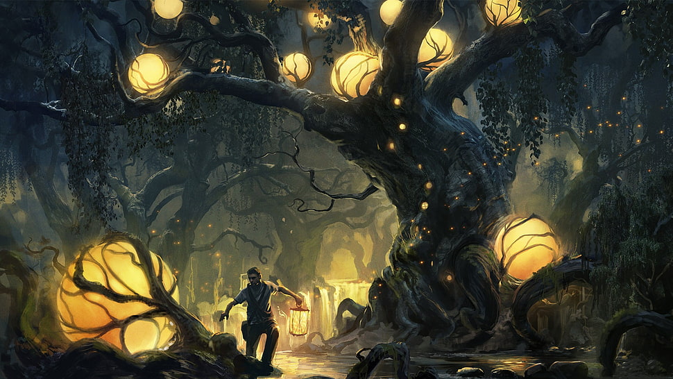 man standing beside tree with lighted light wallpaper, fantasy art HD wallpaper
