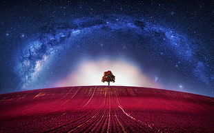 illustration of tree on red hill, universe, trees, digital art, stars