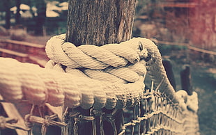 gray rope tied on wooden fence