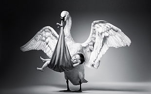 white swan carrying baby art illustration