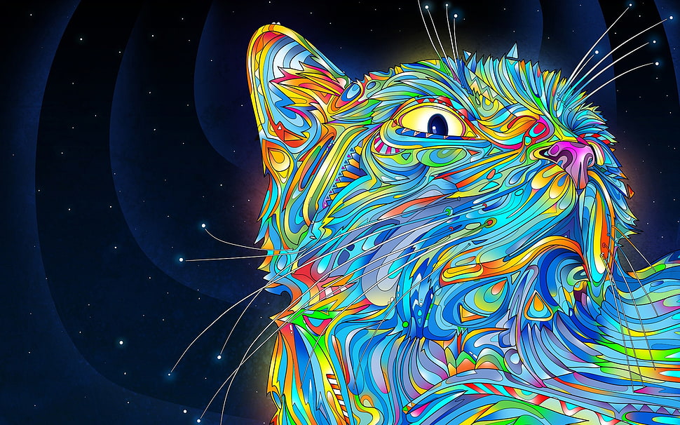 multicolored cat illustration HD wallpaper