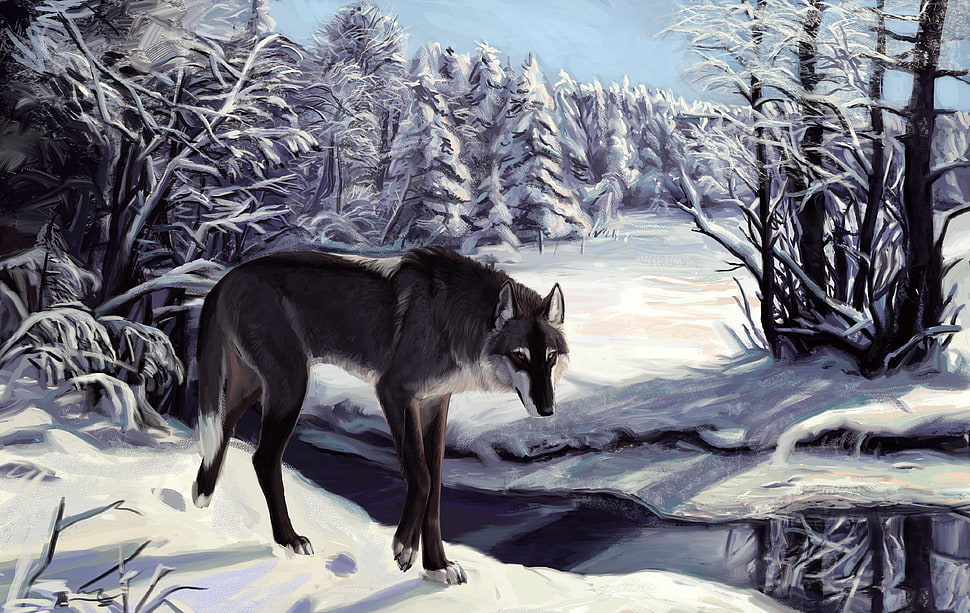 black fox HD wallpaper