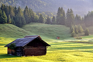 brown wooden house and green grass field