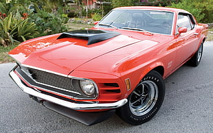 red and black Ford Mustang coupe, car, Boss 428 Mustang