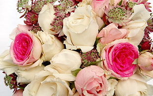 bouquet of white and pink Roses