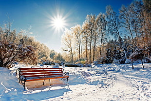 brown wooden bench, winter
