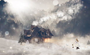 black wooden house in the woods cover by snow nder gray sky HD wallpaper