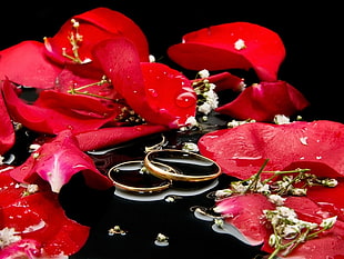 gold-colored wedding rings surrounded of red petal flowers