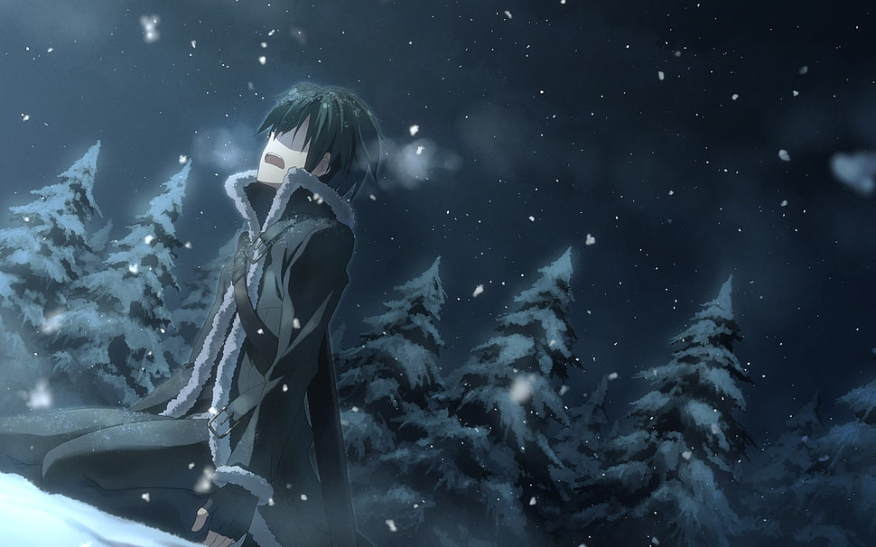 male anime character, anime, Sword Art Online HD wallpaper