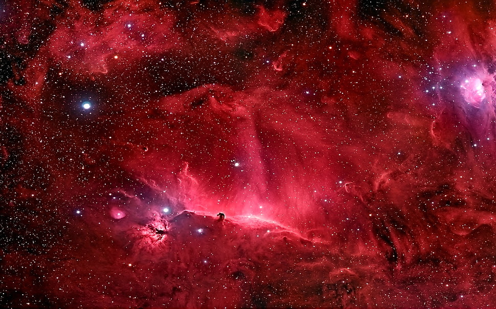 red galaxy illustration, space, nebula, stars, Horsehead Nebula HD wallpaper