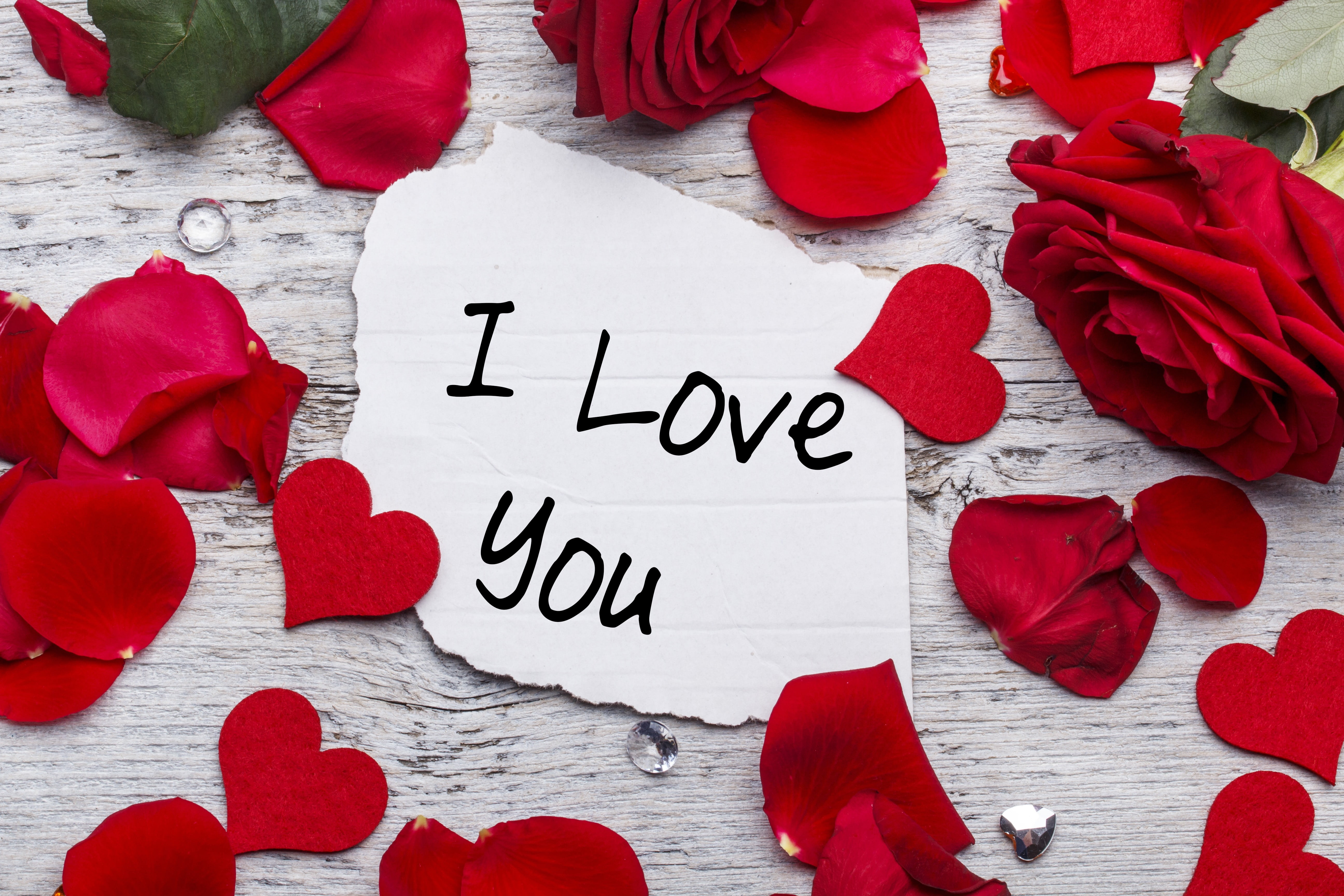 i love you printed paper with rose petals HD wallpaper.