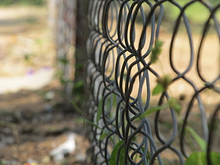 black steel cyclone fence, nature, fence, depth of field