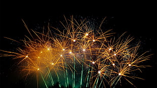 fireworks display, explosion, night, fireworks, photography