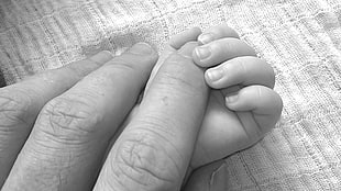 person holding baby hand