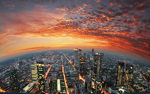 cityscape, Frankfurt, Germany, sunset HD wallpaper