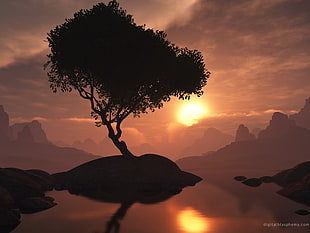 silhouette of tree and island, Digital Blasphemy, render, digital art, sky