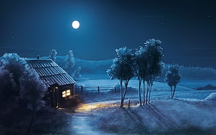 house lights on during full moon painting HD wallpaper