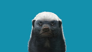 black and white skunk, digital art, badger