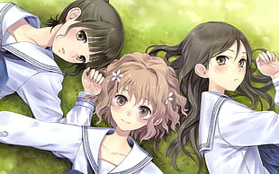 three anime character lying on grass digital wallpaper