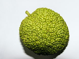 close-up photo of round green fruit