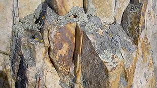 gray and brown stone