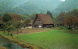 brown wooden structures surrounded by grass field and green leaved trees near mountain
