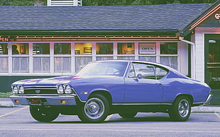 blue muscle car, car, muscle cars, Chevrolet Chevelle