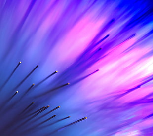 pink, blue, and purple with black lines illustration, Optic fiber, macro