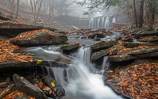 time lapse photography of waterfalls between bare trees