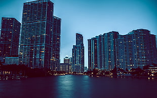 city buildings near body of water photography