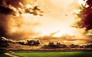 green grass field, sky, clouds, landscape