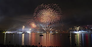 multicolored fireworks, explosion, Sydney, fireworks