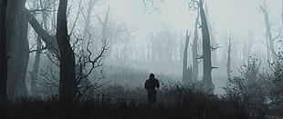 silhouette of person walking in foggy forest