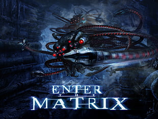 enter the matrix HD wallpaper
