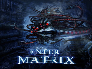enter the matrix