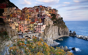 landmark village, Italy, Liguria, cityscape, Cinque Terre HD wallpaper